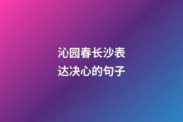 沁园春长沙表达决心的句子