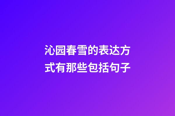 沁园春雪的表达方式有那些包括句子