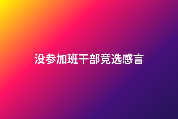 没参加班干部竞选感言