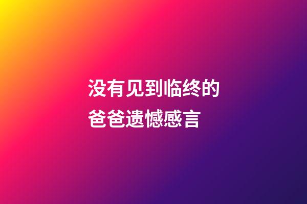 没有见到临终的爸爸遗憾感言