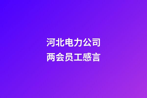 河北电力公司两会员工感言