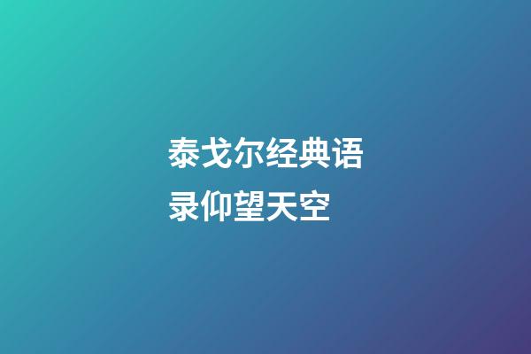 泰戈尔经典语录仰望天空