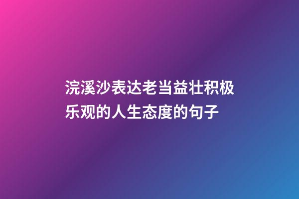 浣溪沙表达老当益壮积极乐观的人生态度的句子