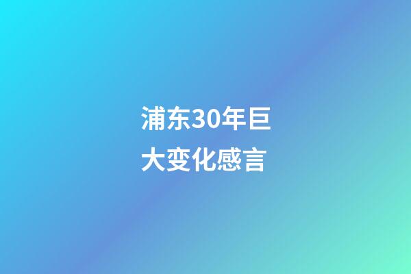 浦东30年巨大变化感言