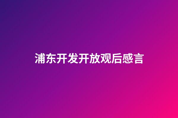 浦东开发开放观后感言