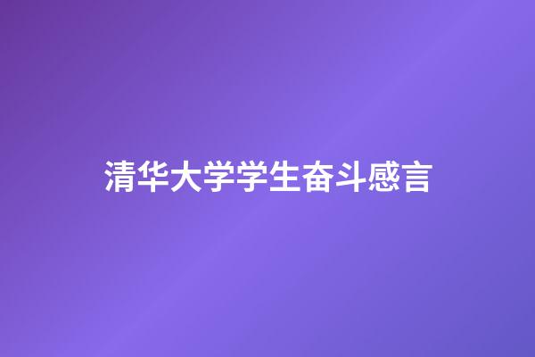 清华大学学生奋斗感言