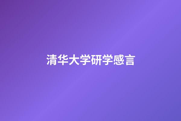 清华大学研学感言