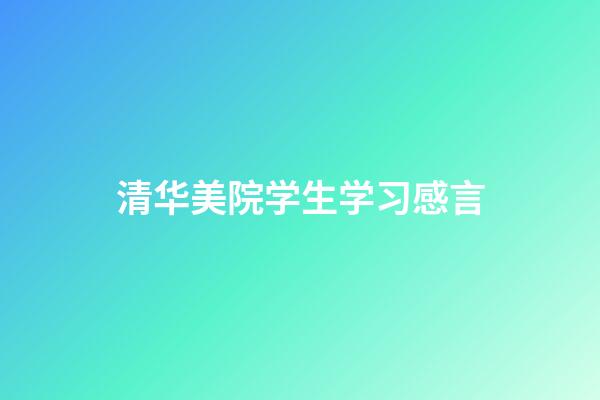 清华美院学生学习感言