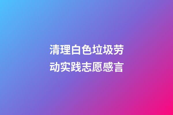 清理白色垃圾劳动实践志愿感言