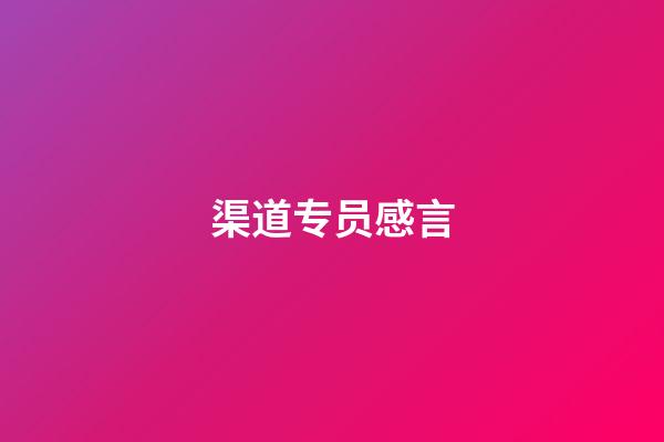 渠道专员感言