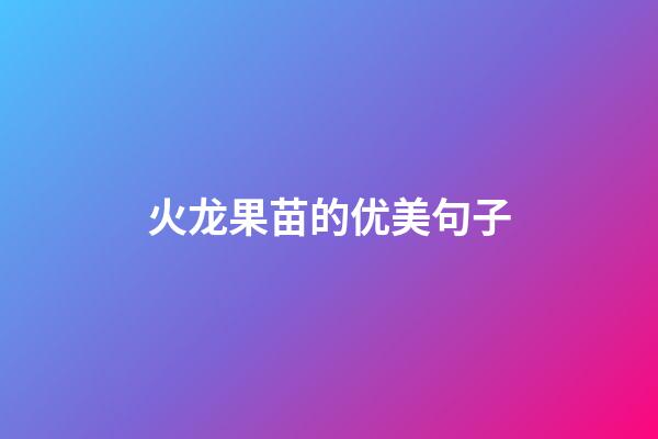 火龙果苗的优美句子