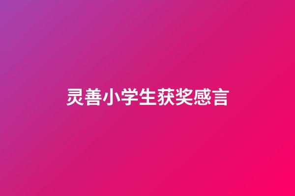 灵善小学生获奖感言