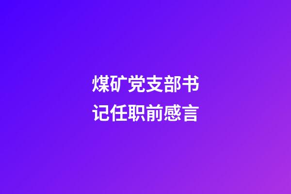 煤矿党支部书记任职前感言