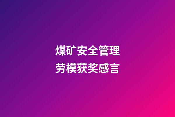 煤矿安全管理劳模获奖感言