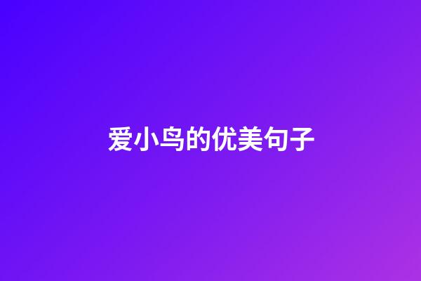 爱小鸟的优美句子