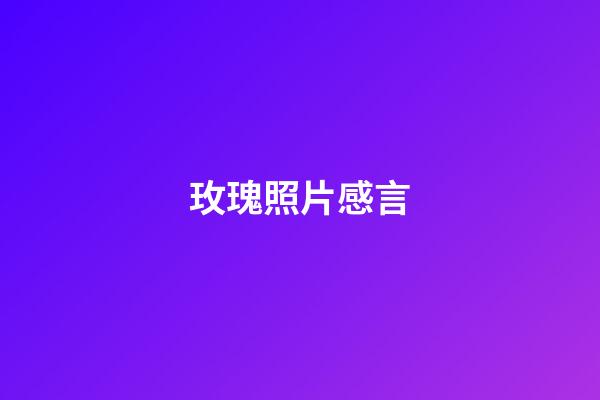 玫瑰照片感言