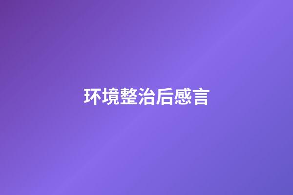 环境整治后感言