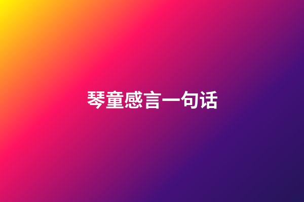 琴童感言一句话