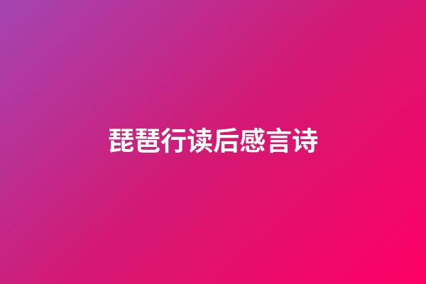 琵琶行读后感言诗