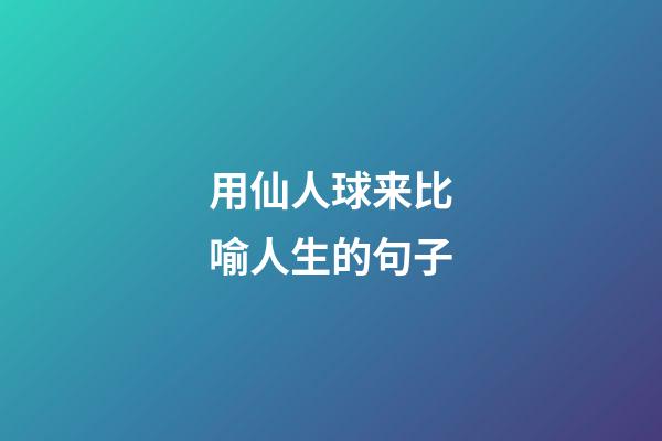 用仙人球来比喻人生的句子