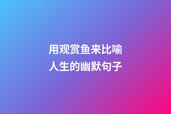 用观赏鱼来比喻人生的幽默句子