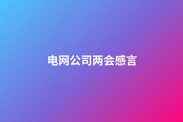 电网公司两会感言