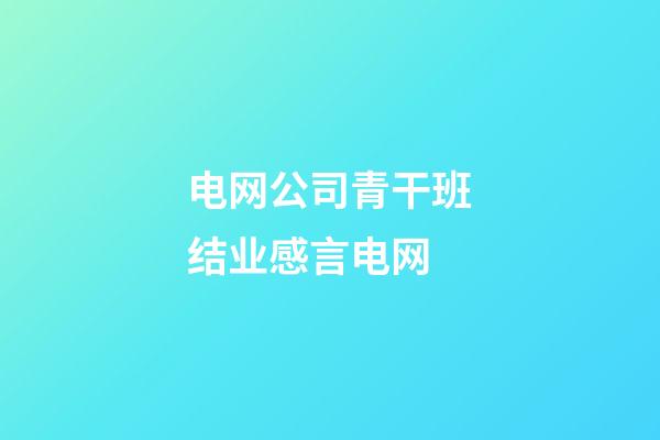 电网公司青干班结业感言电网