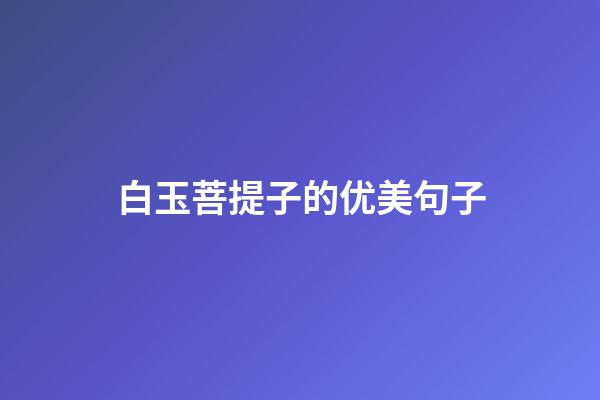 白玉菩提子的优美句子