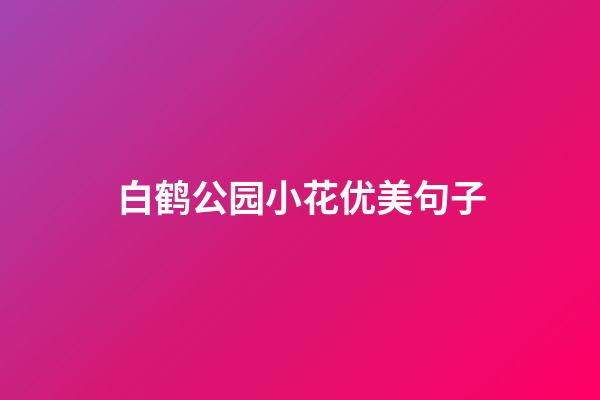 白鹤公园小花优美句子