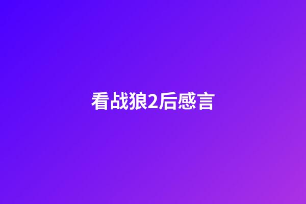 看战狼2后感言