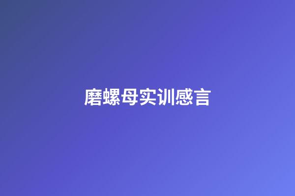 磨螺母实训感言