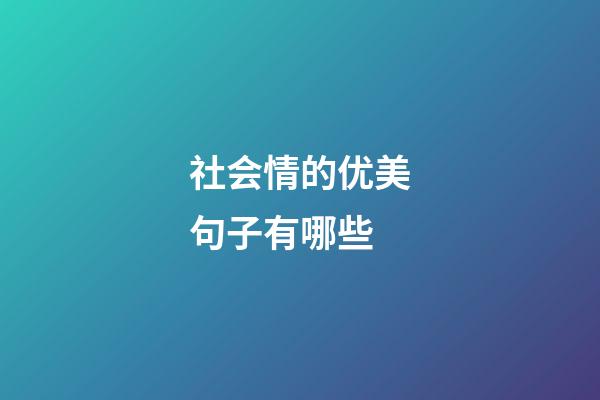 社会情的优美句子有哪些