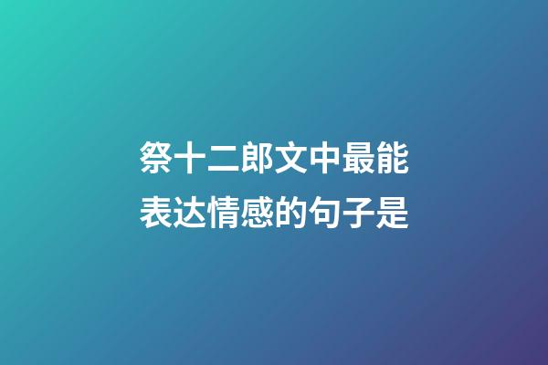 祭十二郎文中最能表达情感的句子是