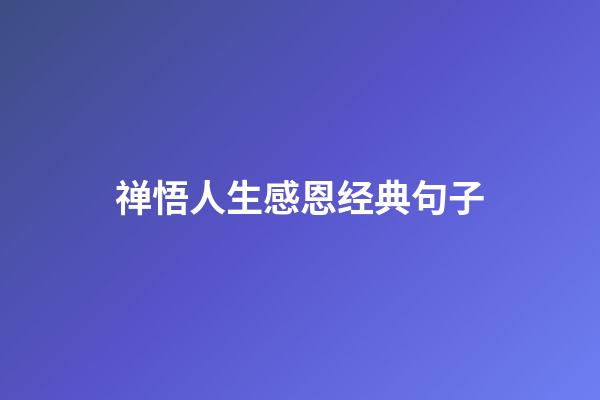 禅悟人生感恩经典句子