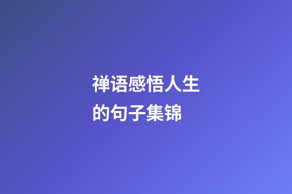 禅语感悟人生的句子集锦