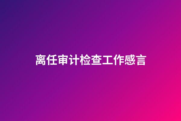 离任审计检查工作感言