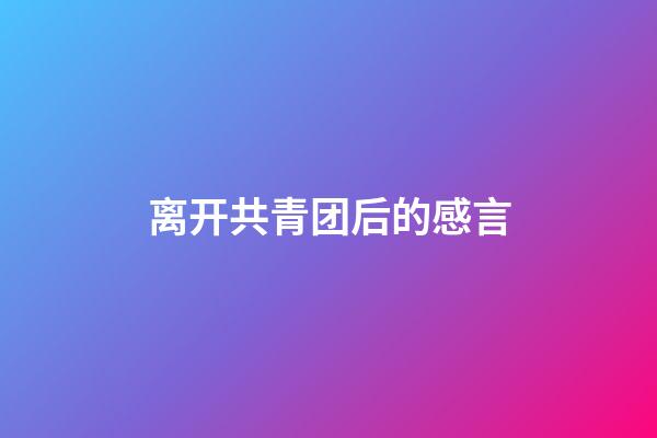 离开共青团后的感言