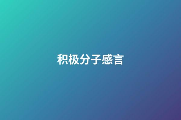 积极分子感言