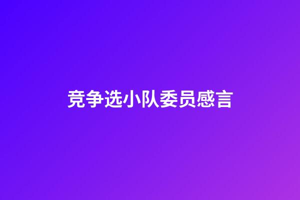 竞争选小队委员感言