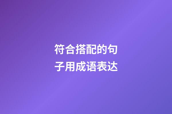 符合搭配的句子用成语表达