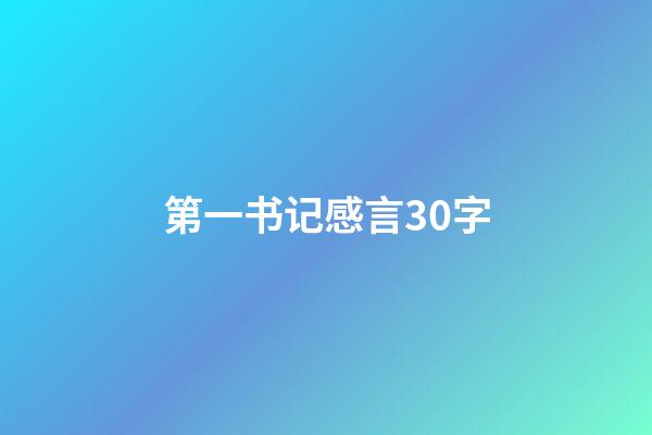 第一书记感言30字