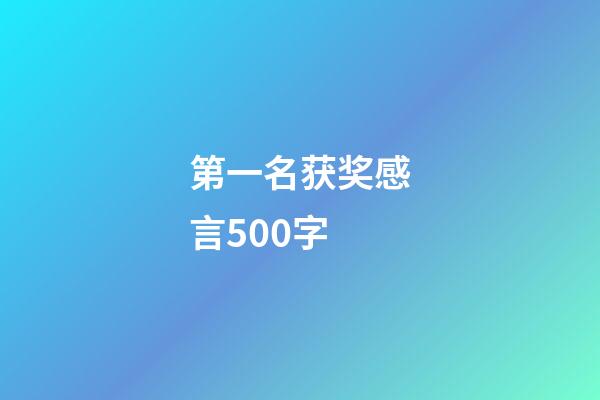 第一名获奖感言500字