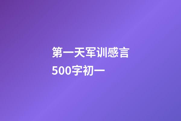 第一天军训感言500字初一