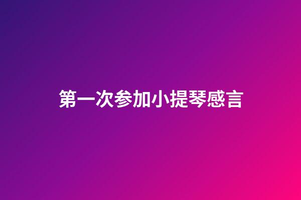 第一次参加小提琴感言