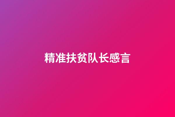 精准扶贫队长感言