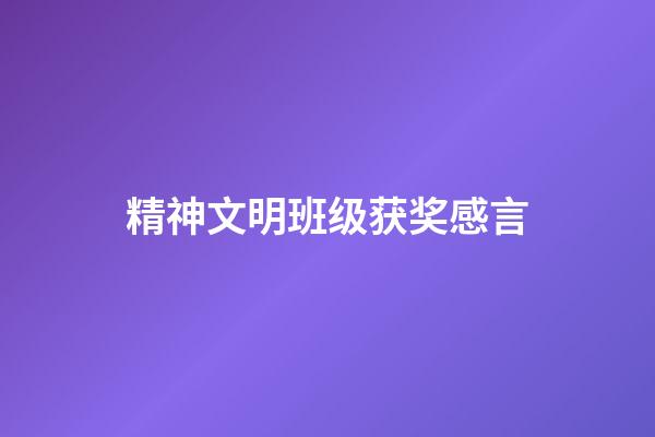 精神文明班级获奖感言