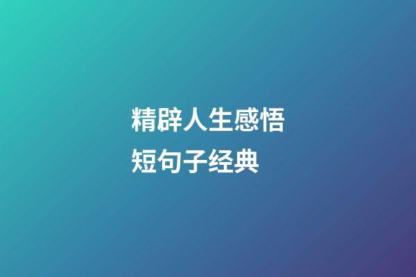 精辟人生感悟短句子经典