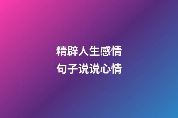 精辟人生感情句子说说心情