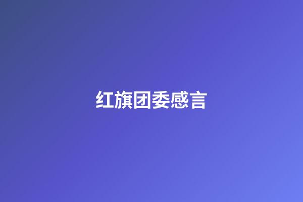 红旗团委感言