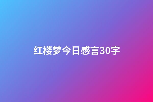 红楼梦今日感言30字